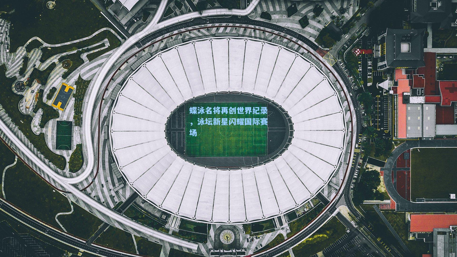 蝶泳名将再创世界纪录，泳坛新星闪耀国际赛场