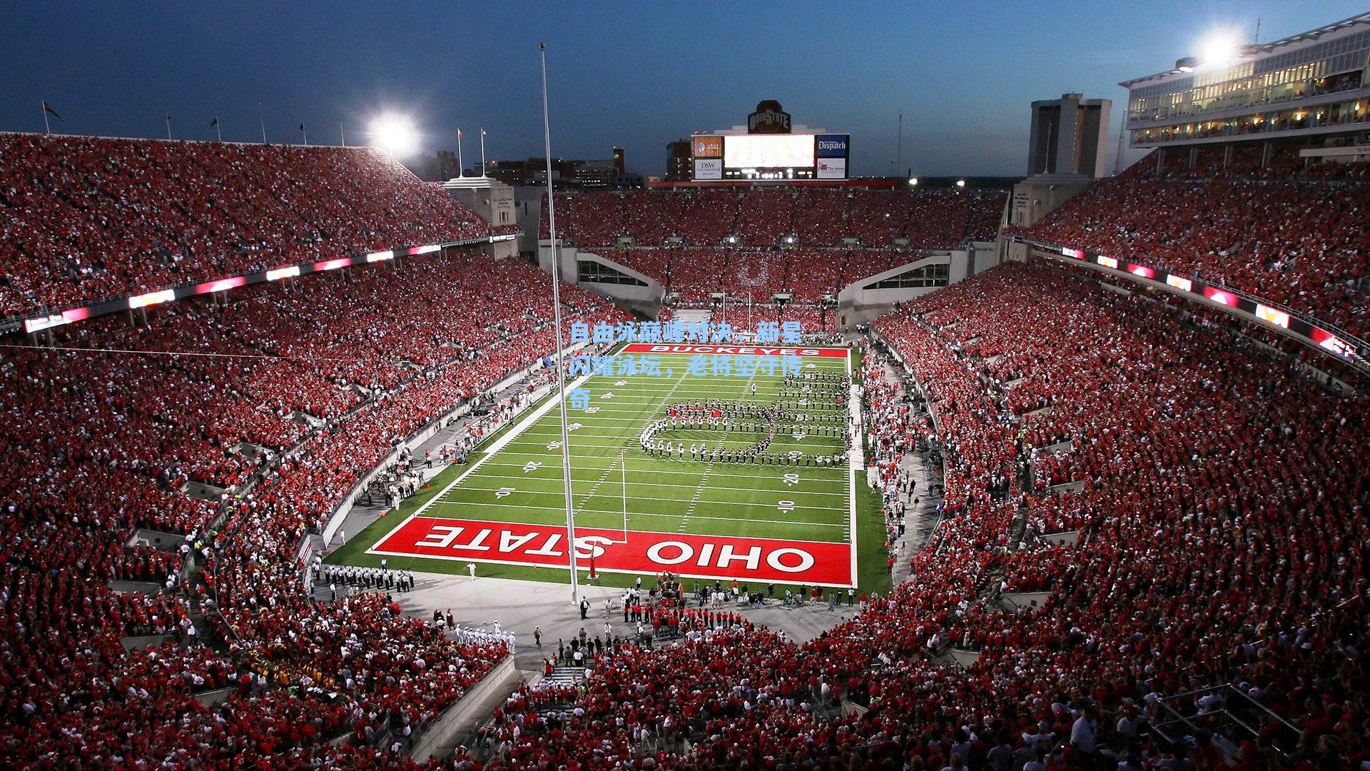 自由泳巅峰对决，新星闪耀泳坛，老将坚守传奇